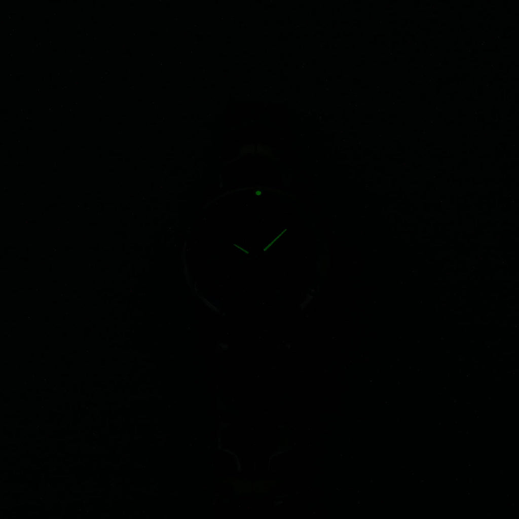 TAG Heuer Link WJ1316-0 night time hand luminosity