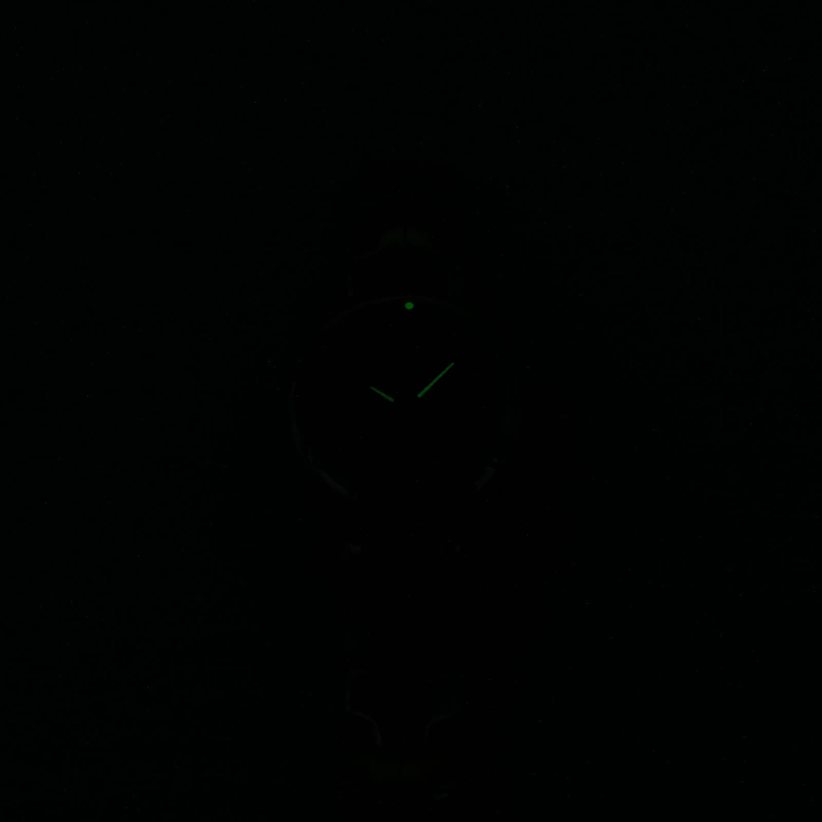 TAG Heuer Link WJ1316-0 night time hand luminosity