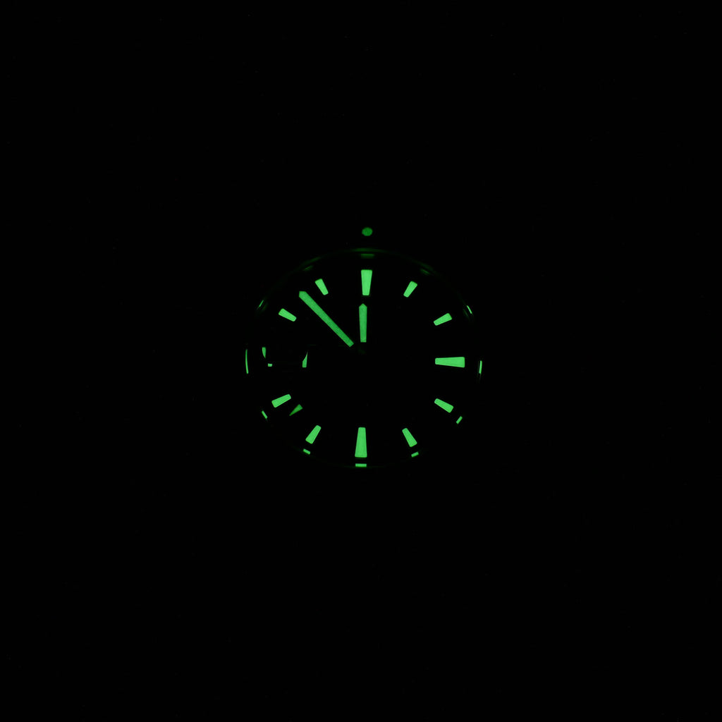 TAG Heuer Aquaracer WAJ2110 luminosity