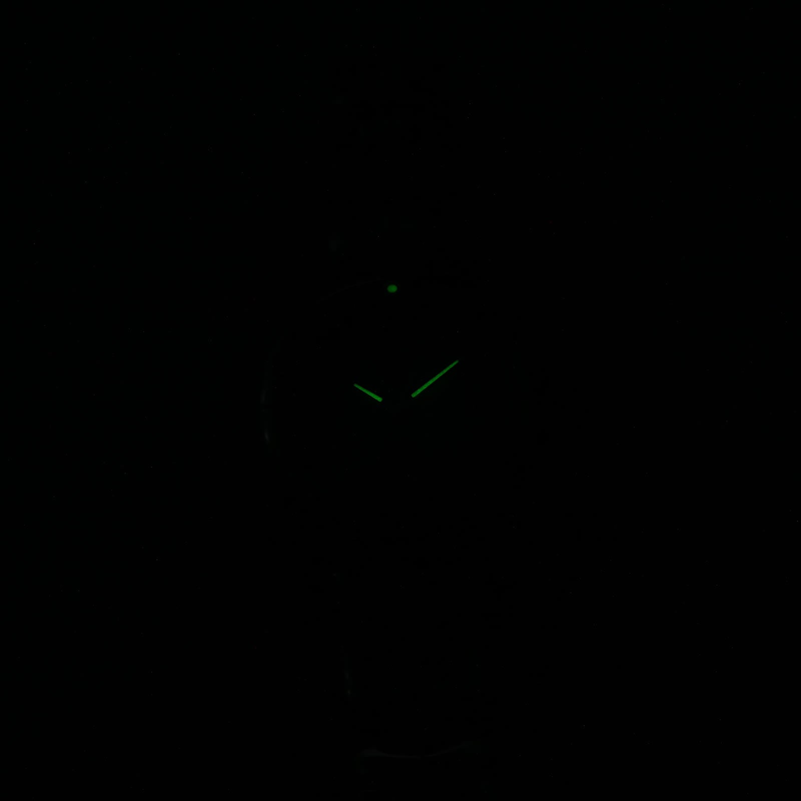 TAG Heuer Link WJ1313-0 night time luminosity
