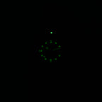 TAG Heuer Formula 1 WA1419 night time luminosity