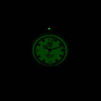 TAG Heuer Formula 1 371.513 luminous dark glow