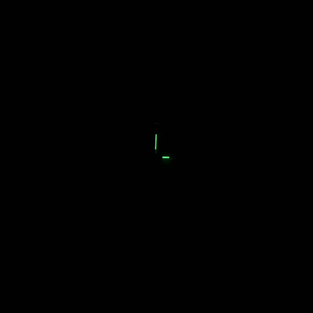 Longines Saint-Imier L2.263.0 night time luminosity