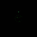 TAG Heuer Formula 1 WA1219 night time luminosity