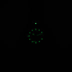 TAG Heuer Formula 1 WA1218 luminosity