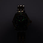 Breitling Wings D67050 night time luminosity
