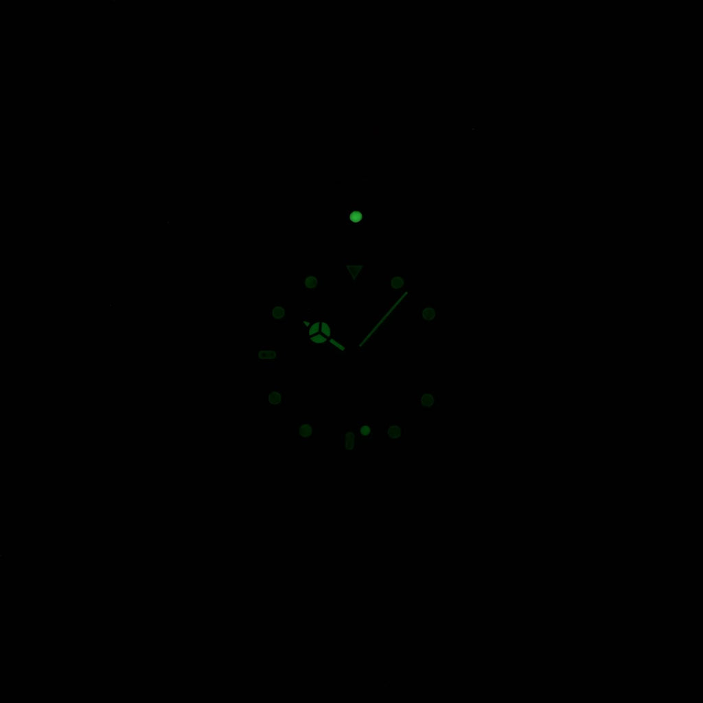 TAG Heuer 3000 934.206 luminosity