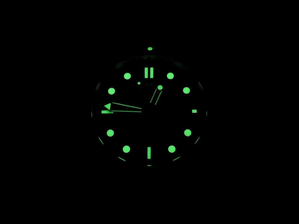 Omega Seamaster night time luminosity 2221.80.00