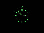 Omega Seamaster 2531.80.00 night time luminosity
