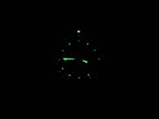TAG Heuer Link CT1110.BA0550 night time luminosity
