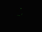 TAG Heuer Aquaracer WAF1425 night time luminosity