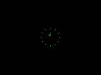 Omega Constellation 1362.10.00 night time luminosity