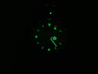 TAG Heuer 1500 Series WD1411-P0 luminous markers and hands