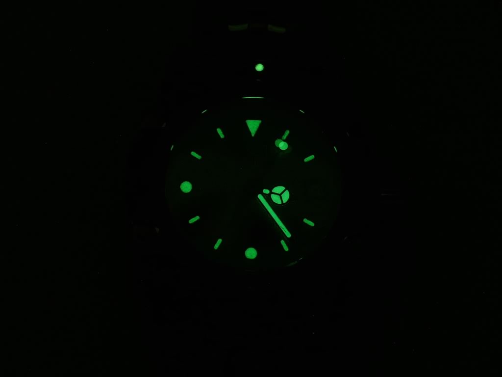 TAG Heuer 1500 Series WD1411-P0 luminous markers and hands