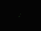 Raymond Weil Tango 5971 night time luminous hands