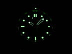 Omega Seamaster 2541.80.00 night time luminosity