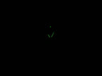 TAG Heuer Link WJ1313.BA0572 night time luminosity