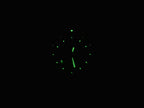 TAG Heuer Link WT1112.BA0550 night time luminosity