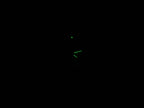 TAG Heuer Link WJ1313.BA0572 night time luminosity