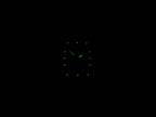 Raymond Weil Parsifal 9340 night time luminosity
