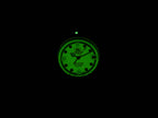 TAG Heuer Formula 1 Night Time Luminous Dial 372.513