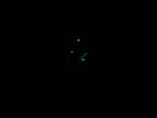 TAG Heuer Formula 1 WA1214 night time luminosity