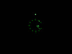 TAG Heuer Formula 1 375.513 night time luminosity