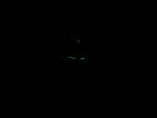 TAG Heuer Aquaracer WAF1415 night time luminosity