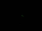 TAG Heuer Link WAT1413 night time luminosity