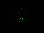 TAG Heuer Link CT5110 night time luminosity