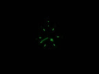 TAG Heuer 2000 CK1111-0 night time luminosity