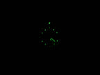 TAG Heuer 2000 Exclusive WN1353 night time luminosity