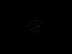 TAG Heuer SEL WI1211 night time luminosity