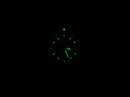 TAG Heuer 2000 Exclusive WN1153-0 night time luminosity