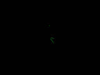 TAG Heuer Link WJ1315-1 night time luminosity