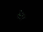 TAG Heuer 2000 Exclusive WN1318 night time luminosity