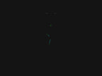 TAG Heuer Aquaracer WAY131D night time luminosity