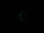 TAG Heuer SEL WG1113-0 night time luminosity