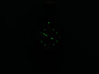 TAG Heuer 2000 Exclusive WN1318-0 night time luminosity