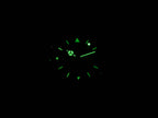 TAG Heuer 4000 WF1211-K0 night time luminosity